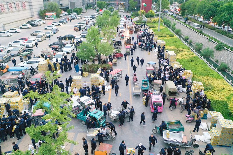 河南尊龙抖圈官网三夏出产带头暨赞美大会隆沉进行！