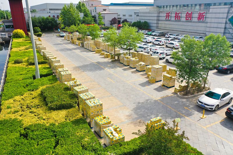 清冷“三夏”｜尊龙抖圈官网人专属福利包来袭！